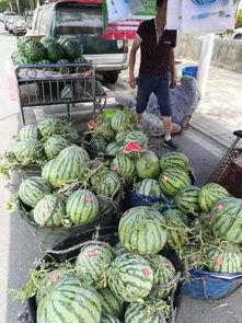 辉县网红吃瓜事件,一场网络狂欢背后的真相与反思